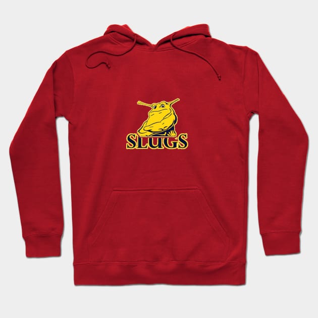 Santa Cruz Mascot Logo Hoodie by awara